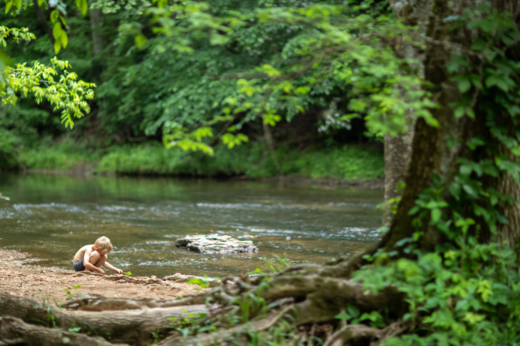 Lawrence County riverbank