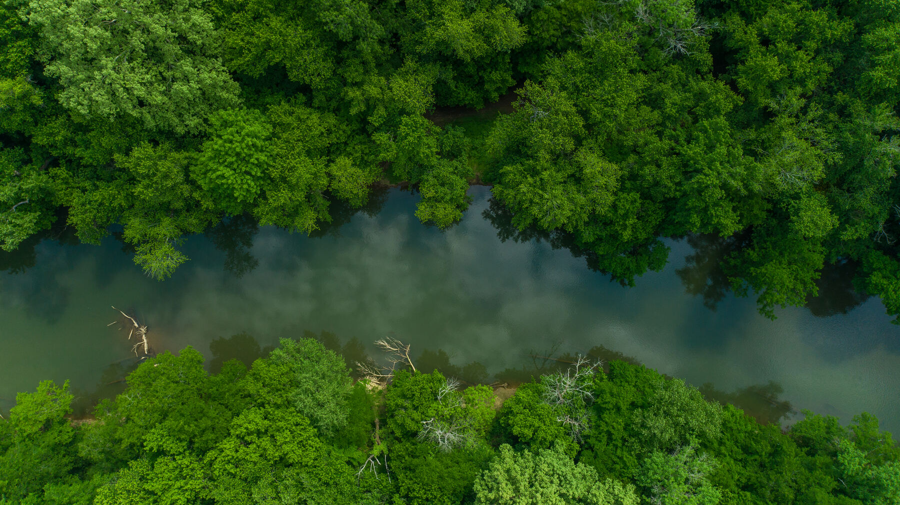 Aerial view of a green river bend in Lincoln County, Tennessee